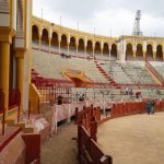 Plaza de toros Maestranza César Girón