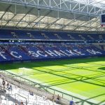 Veltins Arena