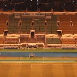 Prince Sultan bin Abdul Aziz Stadium