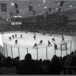 Cheel Arena